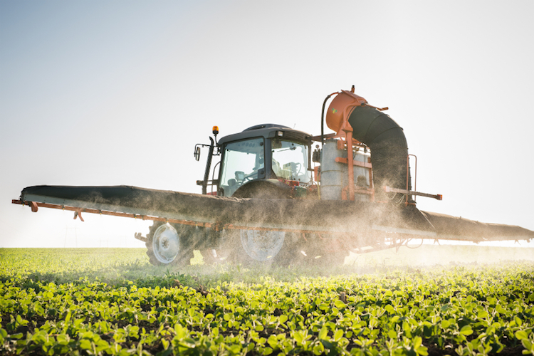 Legambiente denuncia: troppi residui nell'uso dei pesticidi