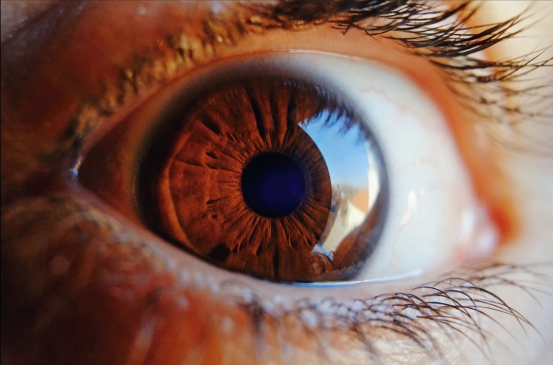 distrofia retinica genetica