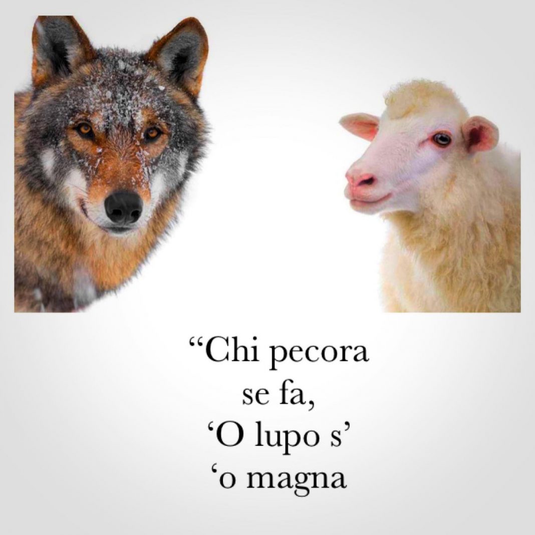 Chi pecora se fa, 'o lupo s' 'o magna: la bellezza del dialetto napoletano