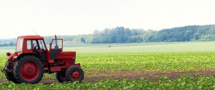 La protesta degli agricoltori: "Noi dimenticati dal Governo" La protesta degli agricoltori: "Noi dimenticati dal Governo"