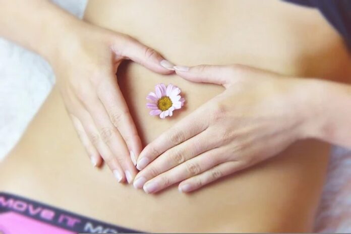 metabolismo