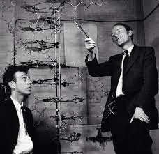 DNA: la scoperta, la Photograph 51 e il Nobel nel 1962