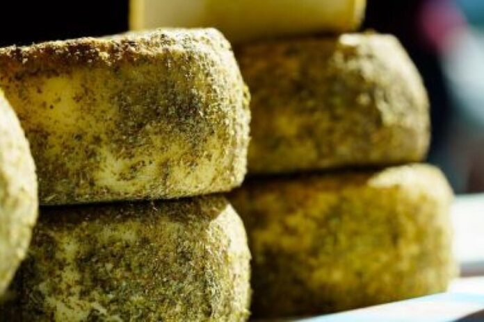 Scienze enogastronomiche di montagna: il nuovo percorso di studi Scienze enogastronomiche di montagna: il nuovo percorso di studi