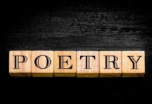 Poesia contemporanea. Istruzioni per l’uso