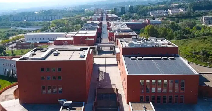 Unical prima in Italia per Computer Science: ricerca, AI e nuovi strumenti per trattenere i giovani Unical prima in Italia per Computer Science: ricerca, AI e nuovi strumenti per trattenere i giovani