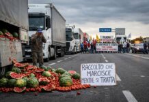 Filiera in ostaggio, il Sud paga il conto dopo i blocchi Filiera in ostaggio, il Sud paga il conto dopo i blocchi