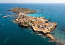 Isola di Tabarca, il paradiso dei gatti del Mediterraneo Isola di Tabarca, una destinazione fuori dalle rotte più conosciute