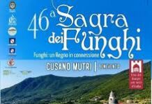 Sagra dei funghi porcini, Cusano Mutri Benevento