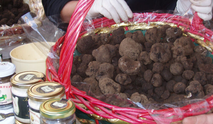 Tartufo Nero